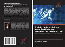 Buchcover von Zwiększanie wydajności organizacji poprzez strategiczne przywództwo