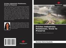 Bookcover of Friches Industriais Pelotenses, Know to Preserve