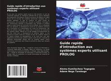 Guide rapide d'introduction aux systèmes experts utilisant PROLOG kitap kapağı