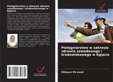 Copertina di Pielęgniarstwo w zakresie zdrowia zawodowego i środowiskowego w Egipcie