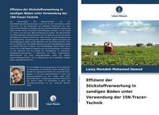 Effizienz der Stickstoffverwertung in sandigen Böden unter Verwendung der 15N-Tracer-Technik kitap kapağı