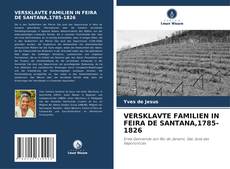 VERSKLAVTE FAMILIEN IN FEIRA DE SANTANA,1785-1826 kitap kapağı