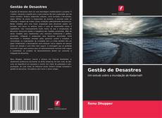 Обложка Gestão de Desastres