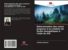 Bookcover of Détermination des zones propices à la création de forêts énergétiques à l'aide du SIG