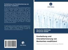 Buchcover von Erarbeitung und Charakterisierung von Bentoniten modifiziert