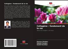 Обложка Collagène : fondement de la vie