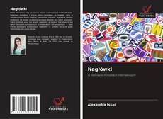 Nagłówki kitap kapağı