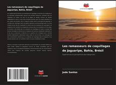 Les ramasseurs de coquillages de Jaguaripe, Bahia, Brésil的封面
