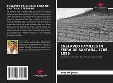 ENSLAVED FAMILIES IN FEIRA DE SANTANA, 1785-1826 kitap kapağı