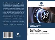 Copertina di Intelligentes Krisenmanagement