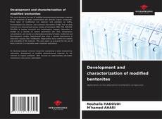 Buchcover von Development and characterization of modified bentonites
