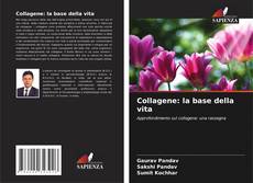 Borítókép a  Collagene: la base della vita - hoz