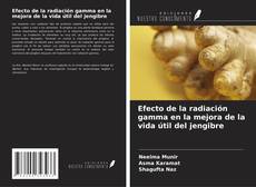 Buchcover von Efecto de la radiación gamma en la mejora de la vida útil del jengibre