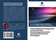 Bookcover of Katastrophenmanagement und nationale Ernährungssicherheit: Zukunftsorientierte Strategien