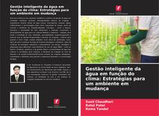 Couverture de Gestão inteligente da água em função do clima: Estratégias para um ambiente em mudança