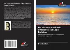 Buchcover von Un sistema sanitario efficiente sul Lago Balaton