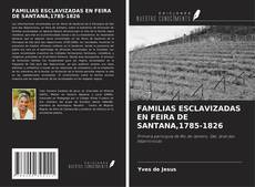 Обложка FAMILIAS ESCLAVIZADAS EN FEIRA DE SANTANA,1785-1826