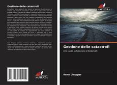 Gestione delle catastrofi kitap kapağı