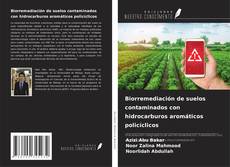 Обложка Biorremediación de suelos contaminados con hidrocarburos aromáticos policíclicos