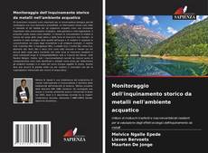 Copertina di Monitoraggio dell'inquinamento storico da metalli nell'ambiente acquatico