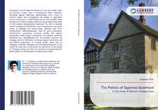 The Politics of Seperate Statehood kitap kapağı