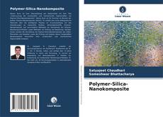 Обложка Polymer-Silica-Nanokomposite