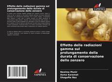 Bookcover of Effetto delle radiazioni gamma sul prolungamento della durata di conservazione dello zenzero