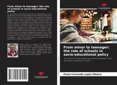 Bookcover of From minor to teenager: the role of schools in socio-educational policy
