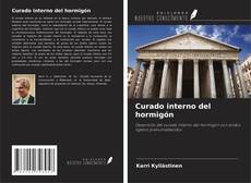 Borítókép a  Curado interno del hormigón - hoz