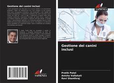 Buchcover von Gestione dei canini inclusi