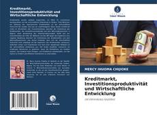 Copertina di Kreditmarkt, Investitionsproduktivität und Wirtschaftliche Entwicklung