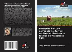 Buchcover von Efficienza nell'uso dell'azoto nei terreni sabbiosi utilizzando la tecnica del tracciante 15N