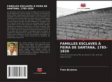 Buchcover von FAMILLES ESCLAVES À FEIRA DE SANTANA, 1785-1826
