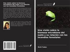 Capa do livro de Una visión sobre la biomasa microbiana del suelo y su relación con los incendios forestales 