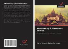 Stan natury i pierwotna dobroć的封面