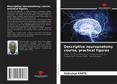 Bookcover of Descriptive neuroanatomy course, practical figures