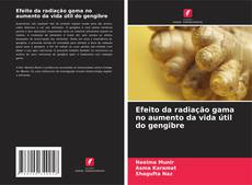 Couverture de Efeito da radiação gama no aumento da vida útil do gengibre