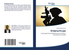 Bookcover of Bridging the gap