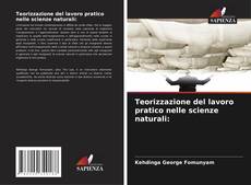 Bookcover of Teorizzazione del lavoro pratico nelle scienze naturali: