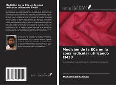 Medición de la ECa en la zona radicular utilizando EM38 kitap kapağı