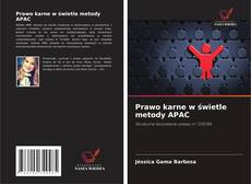 Prawo karne w świetle metody APAC的封面
