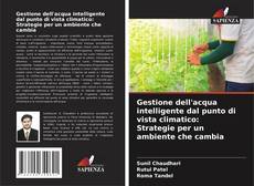 Copertina di Gestione dell'acqua intelligente dal punto di vista climatico: Strategie per un ambiente che cambia