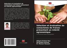 Sélection et évaluation de somaclones de fraises présentant un intérêt agronomique的封面