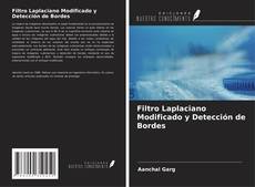 Обложка Filtro Laplaciano Modificado y Detección de Bordes