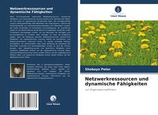 Buchcover von Netzwerkressourcen und dynamische Fähigkeiten