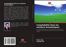 Bookcover of Comptabilité dans les secteurs économiques