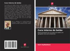 Cura interna do betão的封面