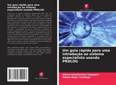 Couverture de Um guia rápido para uma introdução ao sistema especialista usando PROLOG