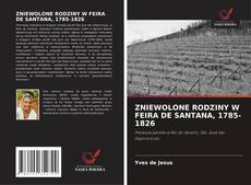 Buchcover von ZNIEWOLONE RODZINY W FEIRA DE SANTANA, 1785-1826