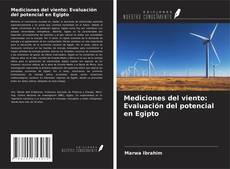 Capa do livro de Mediciones del viento: Evaluación del potencial en Egipto 